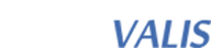 Logo Videovalis